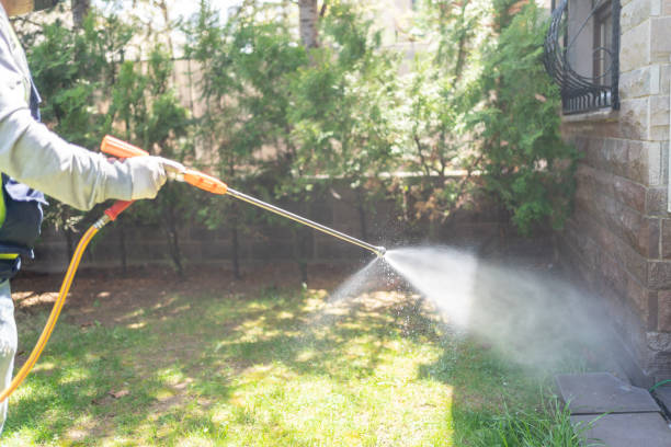 Professional Pest Control in Rock Port, MO