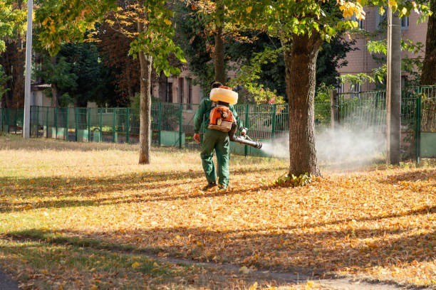 Best Affordable Pest Control Services  in Rock Port, MO