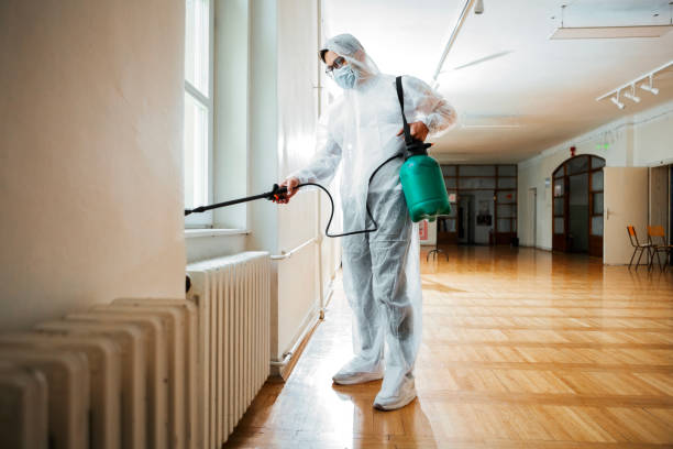 Best Commercial Pest Control Services  in Rock Port, MO